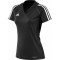 T12 CC p women b_0.jpg
